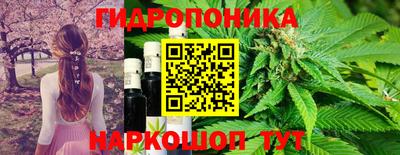 apvp Моздок