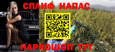тгк Можга
