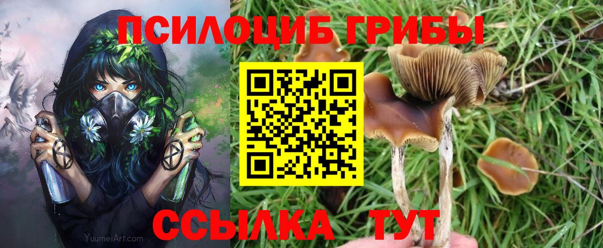 Псилоцибиновые грибы прущие грибы Урюпинск